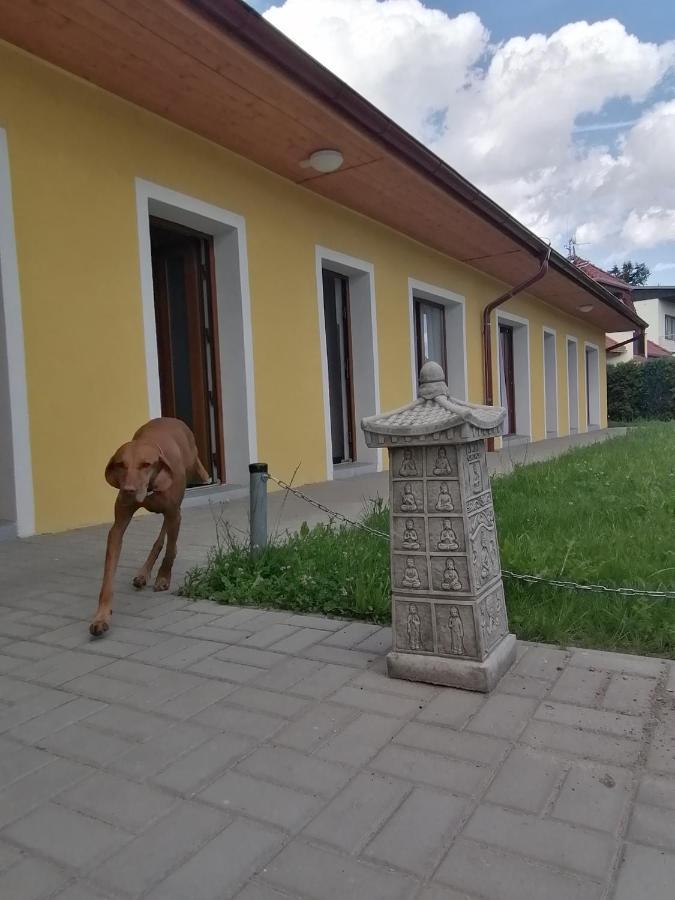 Penzion Loren Františkovy Lázně Exterior foto
